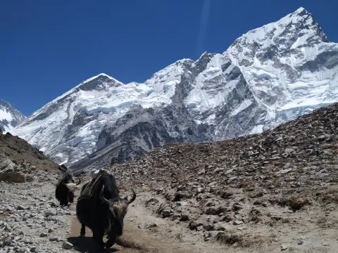 Everest Base Camp Trek Cost 2026 — Complete Budget Breakdown