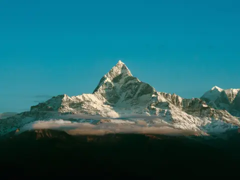 Royal Trek
