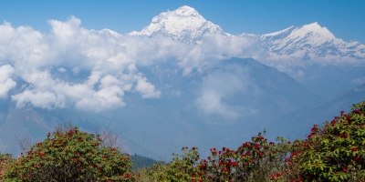 Khopra Danda Trek