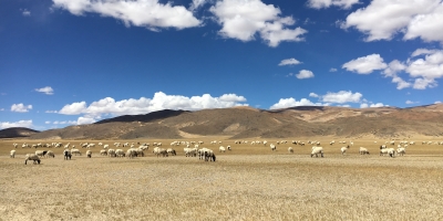 Tibet Overland Tour