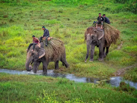 Chitwan Wildlife Adventure Tour